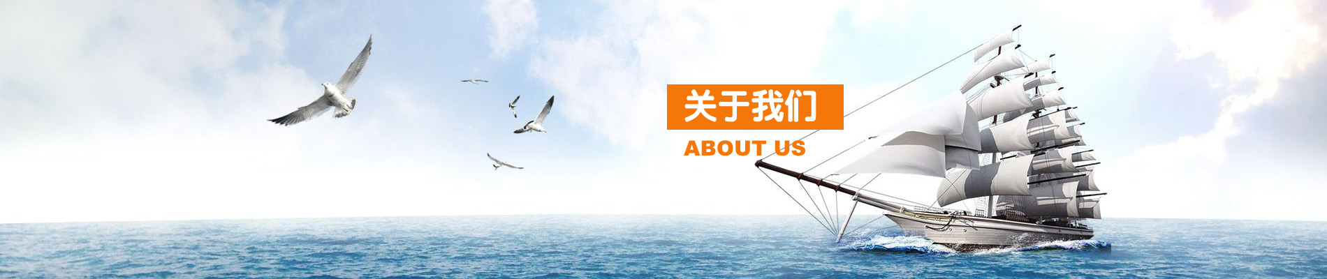关于我们